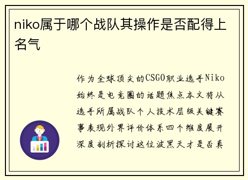 niko属于哪个战队其操作是否配得上名气