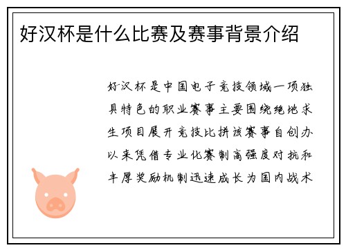 好汉杯是什么比赛及赛事背景介绍